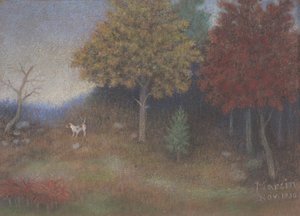 Vicino al parco Stevens W. Dallas