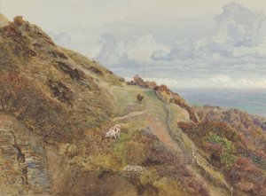 Bonchurch Downs