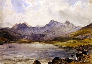 Vicino a Llyn Crafrant, Galles da John Brett