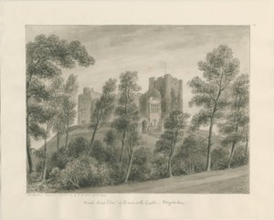 Castello di Tamworth da John Buckler
