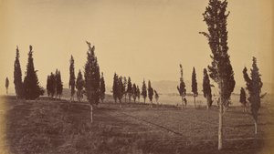 Vista a volo d