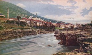 Bosnia da John Bushby