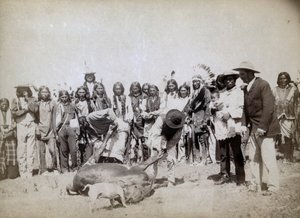 Scuoiando il manzo, 1891