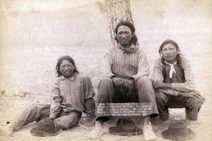 Tre ragazzi adolescenti Lakota in abiti occidentali, 1891 da John C. H. Grabill