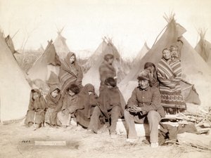 Quel che resta della banda di Big Foot, 1891 da John C. H. Grabill