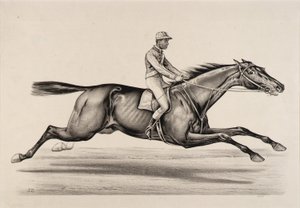 Imperatore di Norfolk