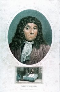Anton van Leeuwenhoek 1632-1723, microscopista olandese, c1810