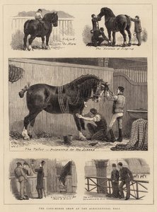 La mostra del cavallo da tiro alla Agricultural Hall