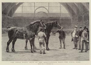 Mostra del cavallo da tiro alla Agricultural Hall, il duello finale