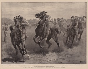 Tiro alla fune a cavallo, Sport nel campo di Maitland