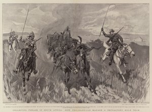 Raccolta di foraggio in Sudafrica, come i coloniali gestiscono una squadra di muli ribelli da John Charlton