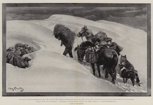 Cibo per gli affamati, curando le pecore bloccate dalla neve sulle colline del Northumberland