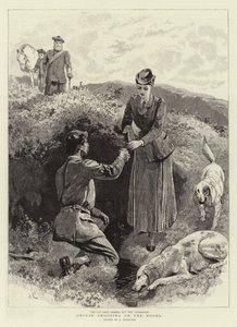 Caccia alla pernice nelle brughiere