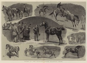 Note allo spettacolo della Hackney Horse Society