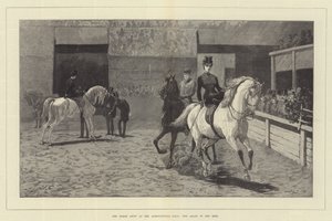 La mostra dei cavalli all