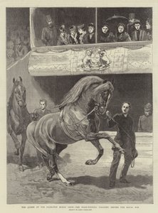 La Regina alla Mostra del Cavallo di Islington, i vincitori dei premi sfilano davanti alla tribuna reale