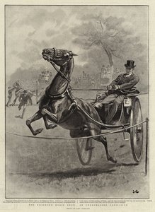 Lo spettacolo equestre di Richmond, un