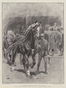 La mostra del cavallo Shire alla Agricultural Hall da John Charlton