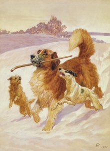 Tre cani che giocano nella neve, 1881