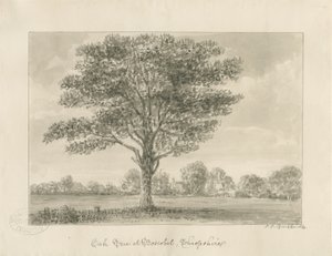 Boscobel - La Quercia Reale da John Chessell Buckler