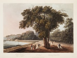 St. Cloud, Il Grande Viale di St. Cloud, Il Ponte di Sevres, ecc. ecc. da John Claude Nattes