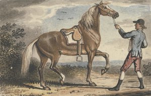 Ragazzo di scuderia che tiene un cavallo in un paesaggio da John Collet