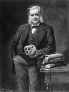 Thomas Henry Huxley (1825-95) inciso da Leopold Flameng (1831-1911) 1885