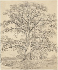 Una Grande Quercia da John Constable