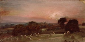 Un campo di fieno vicino a East Bergholt al tramonto da John Constable