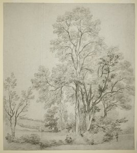 Un gruppo di olmi (recto); Uno studio di East Bergholt con la chiesa (verso)