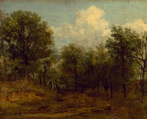 Un bosco (pittura a olio)