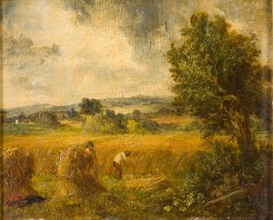 Un campo di grano
