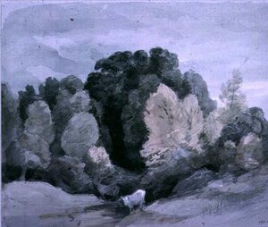 Bovini vicino al bordo di un bosco, c.1805 da John Constable