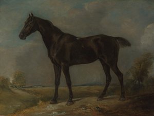 Il Cavallo Nero di Golding Constable da John Constable
