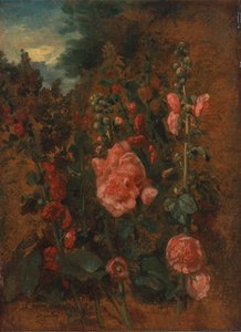 Studio di Alcea