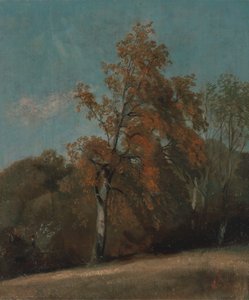 Studio di un frassino, tra il 1801 e il 1803 o tra il 1810 e il 1830 da John Constable