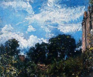 Studio di cielo e alberi