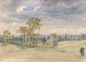 Paesaggio del Suffolk da John Constable