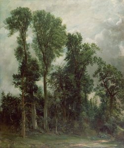 Alberi a Hampstead da John Constable