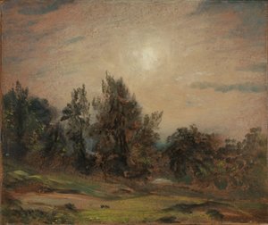 Alberi nella brughiera di Hampstead da John Constable
