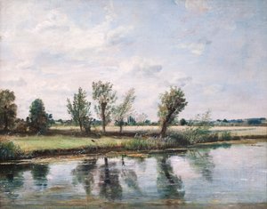 Prati acquatici vicino a Salisbury