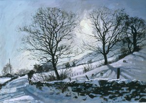 Pomeriggio invernale a Dentdale