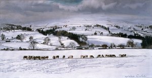 Alimentazione invernale da John Cooke