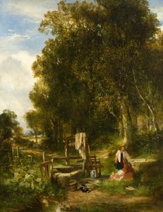 Un pozzo nel bosco