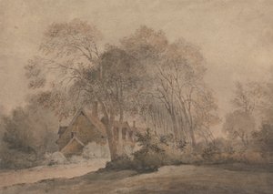 Una casa tra gli alberi