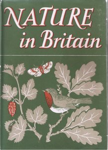Studio di alberi, da "La natura in Gran Bretagna" pubblicato da Collins, 1946 da John Crome