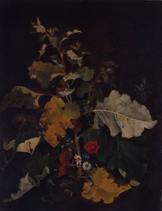 Studio di una Bardana da John Crome