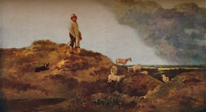 Vista su Mousehold Heath, vicino a Norwich