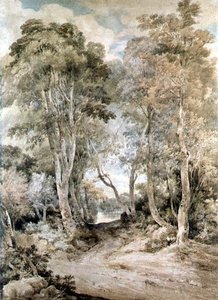 Scena nel bosco