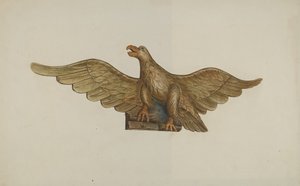 Aquila